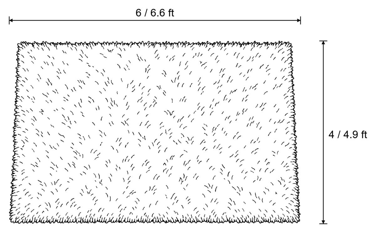 Dimensions sketch of the Ivory Shag Area Rug, 1.1 in Plush Pile with measurements